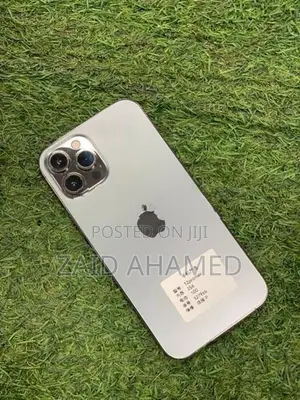 Apple iPhone 12 Pro Max (Used)