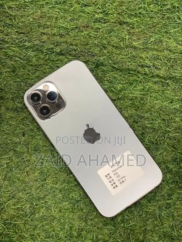 Apple iPhone 12 Pro Max (Used)