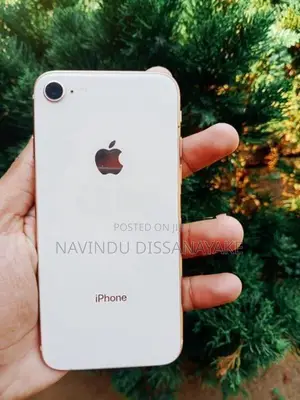 Apple iPhone 8 (Used)