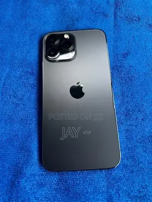 Apple iPhone 13 Pro Max 256GB (Used)
