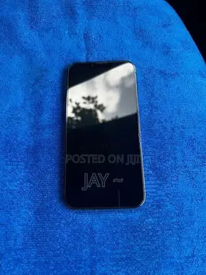 Apple iPhone 13 Pro Max 256GB (Used)