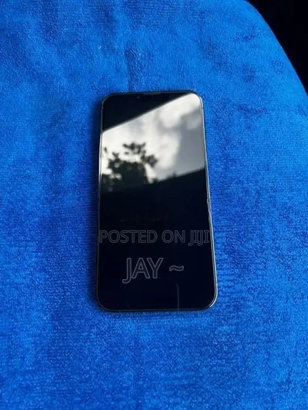 Apple iPhone 13 Pro Max 256GB (Used)
