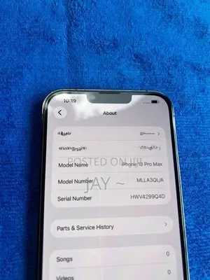 Apple iPhone 13 Pro Max 256GB (Used)