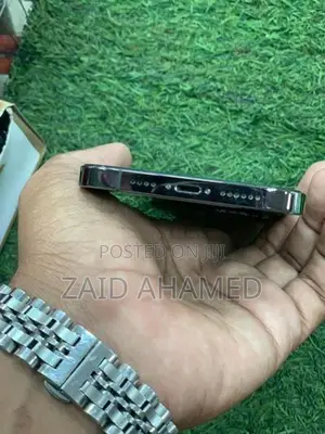 Apple iPhone 12 Pro Max (Used)