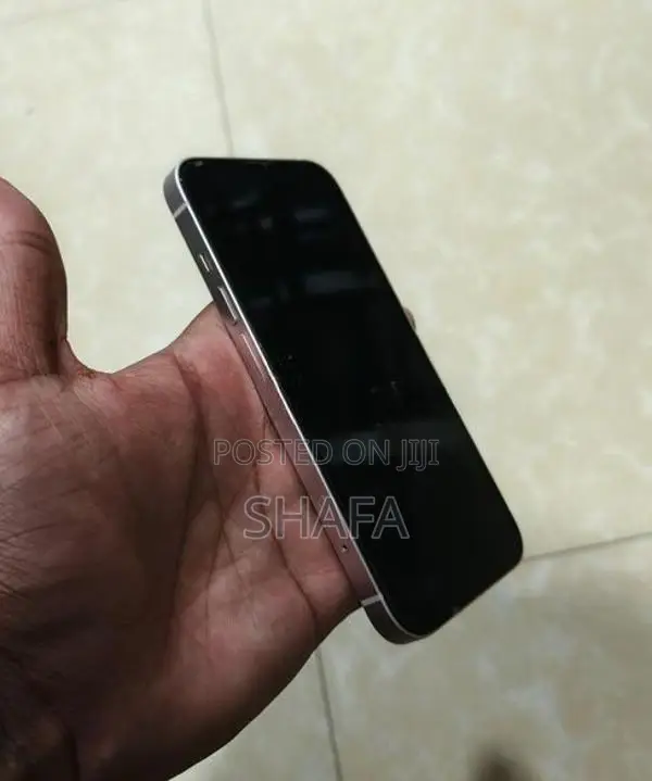 Apple iPhone 13 256GB (Used)