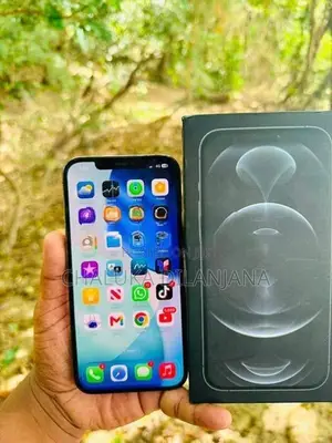 Apple iPhone 12 Pro Max 256GB (Used)