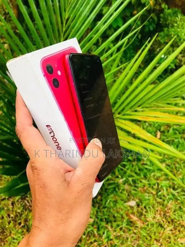 Apple iPhone 11 (Used)