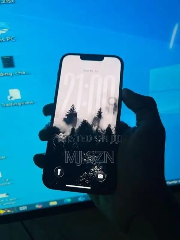 Apple iPhone 13 Pro (Used)