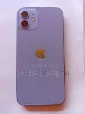 Apple iPhone 12 Applr 256GB (Used)