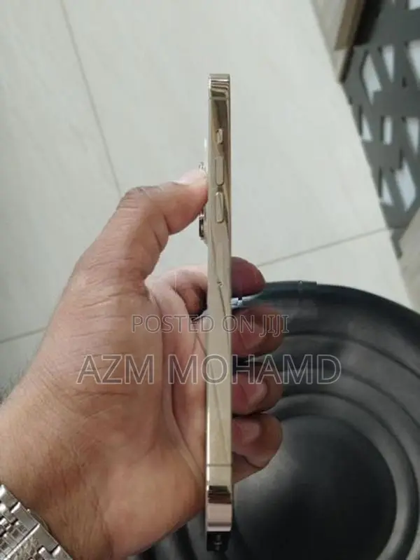 Apple iPhone 13 Pro Max 256GB (Used)