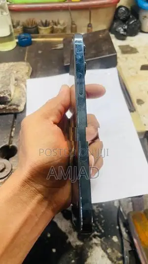 Apple iPhone 12 Pro Max (Used)