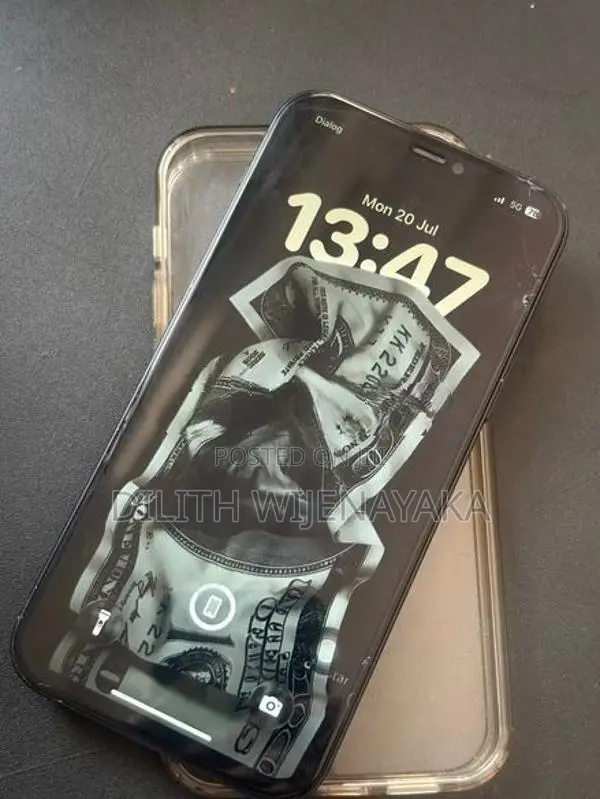 Apple iPhone 12 (Used)