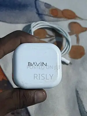 Apple Charger
