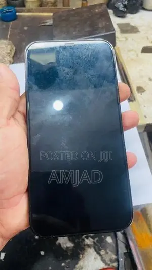 Apple iPhone 12 Pro Max (Used)