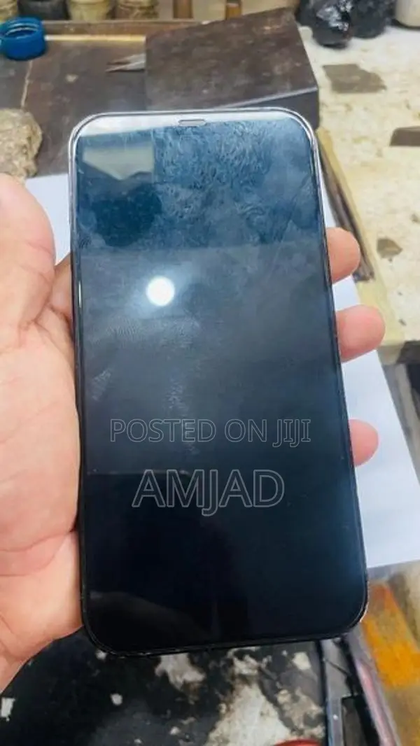 Apple iPhone 12 Pro Max (Used)