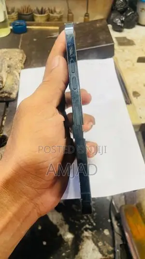 Apple iPhone 12 Pro Max (Used)