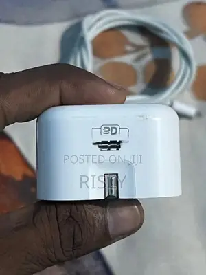 Apple Charger