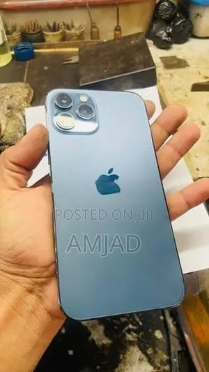 Apple iPhone 12 Pro Max (Used)