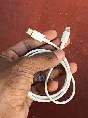 Apple Charger