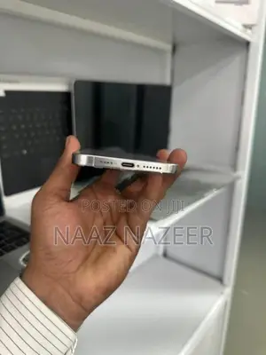 Apple iPhone 15 Pro Max (Used)