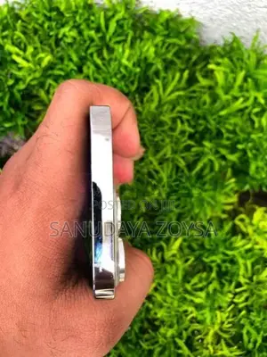 Apple iPhone 13 Pro (Used)
