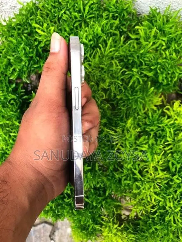 Apple iPhone 13 Pro (Used)