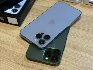 Apple iPhone 13 Pro Max 256GB (Used)