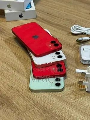 Apple iPhone 12 256GB (Used)