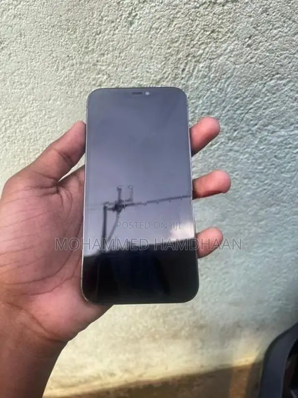 Apple iPhone 12 Pro (Used)