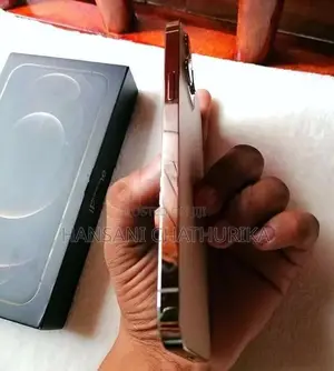 Apple iPhone 12 Pro Max (Used)