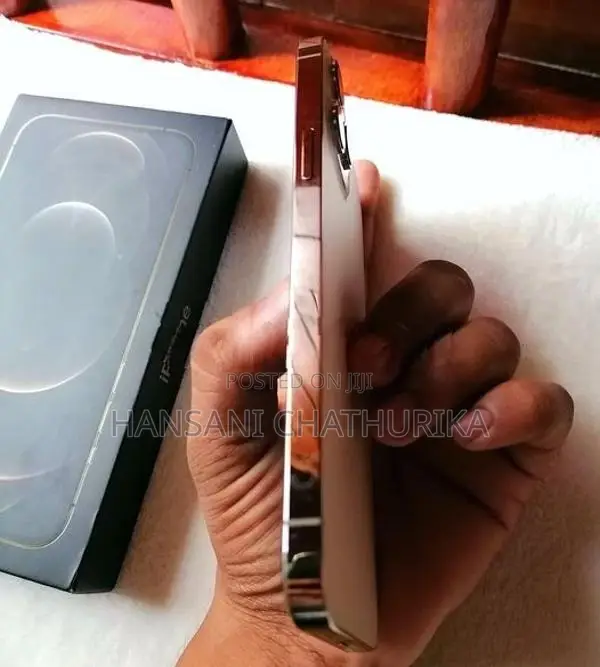 Apple iPhone 12 Pro Max (Used)