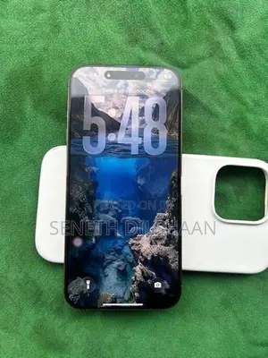 Apple iPhone 16 Pro Max I phone (Used)