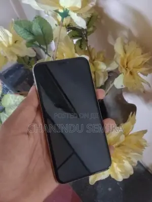 Apple iPhone XS (Used)