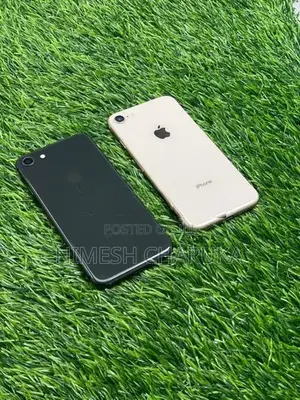 Apple iPhone 8 256GB (Used)