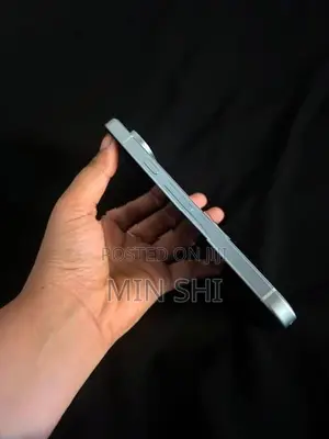 Google Pixel 9 (Used)