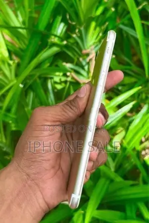 Apple iPhone 7 Plus (Used)