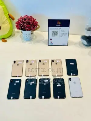 Apple iPhone XS 256GB (Used)