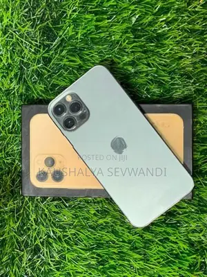 Apple iPhone 12 Pro (Used)