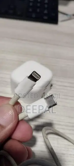 Apple Charging Dock with Cable
