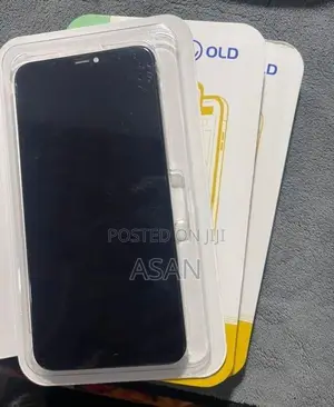 iPhone XS Max Display