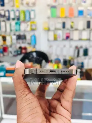 Apple iPhone 12 Pro 256GB (Used)