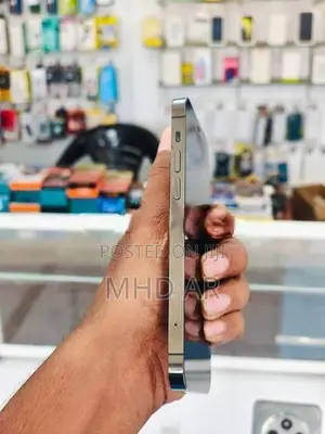 Apple iPhone 12 Pro 256GB (Used)