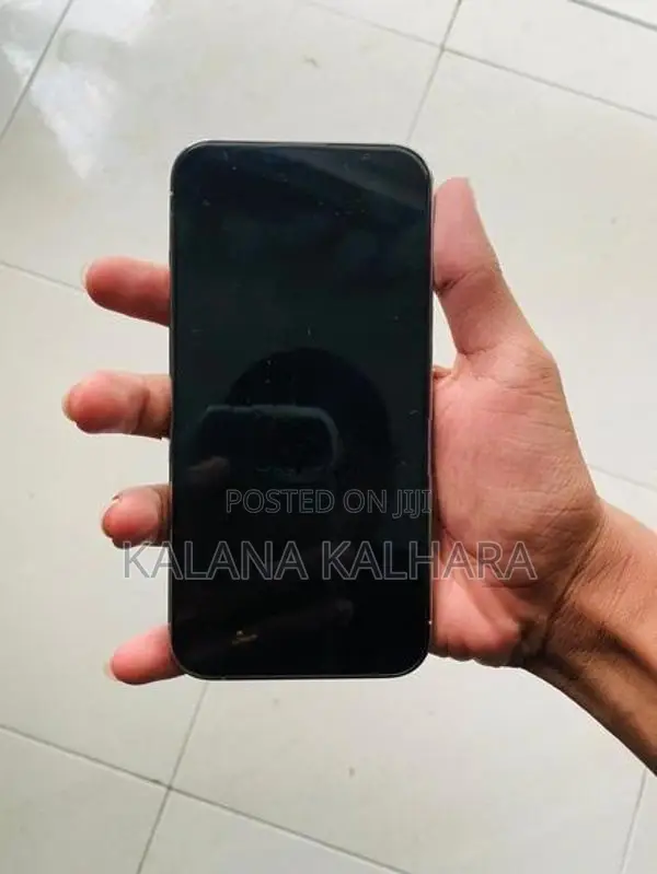 Apple iPhone 13 Pro (Used)