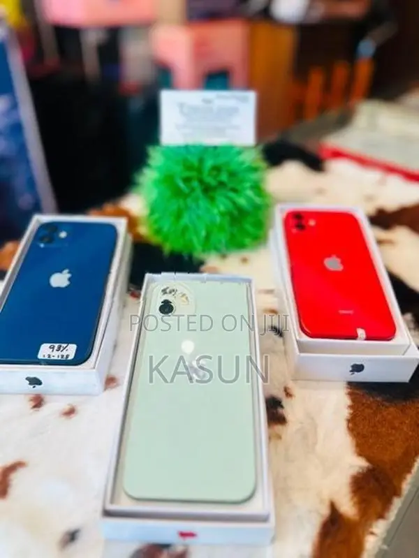Apple iPhone 12 (Used)