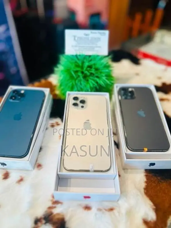 Apple iPhone 12 Pro (Used)