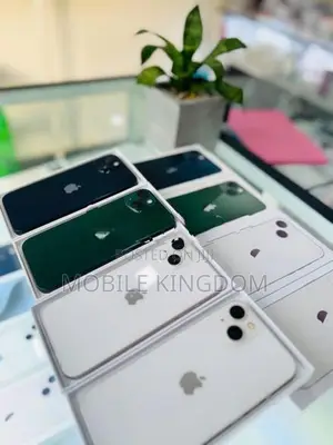 Apple iPhone 13 128GB Fullset Box (Used)