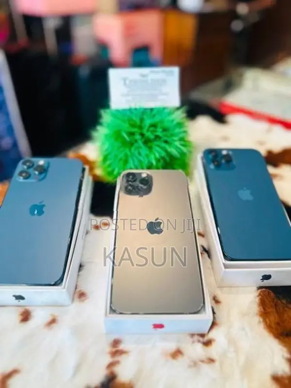 Apple iPhone 12 Pro Max (Used)