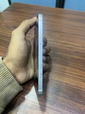 Apple iPhone 12 (Used)