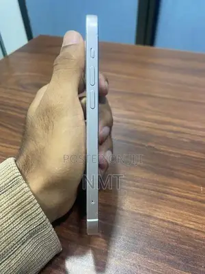 Apple iPhone 12 (Used)
