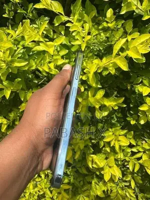 BLUE (Used)